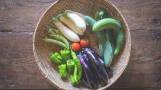 1日1組限定 体験型古民家宿"ハレハレ" 超新鮮卵かけご飯付き-自給自足を営む若夫婦がセルフビルドした宿- 平飼い卵の収穫と五右衛門風呂沸かし体験付き - 3