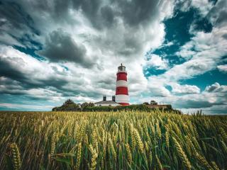 Ollands Farm Barn - Happisburgh - 0