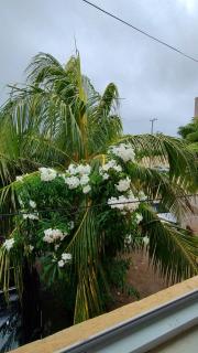 Casa ah temporal - 8