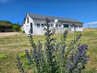 Appartement am Landhaus - Sauerthal - 0