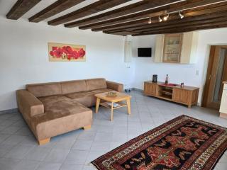 Appartement am Landhaus - Sauerthal - 9