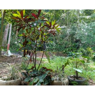 Apartamento Completo Campestre - Ibagué - 4