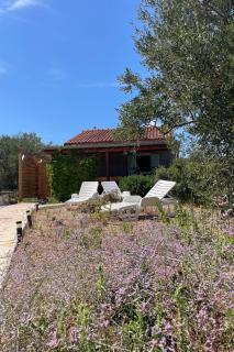 Secluded fisherman's cottage Cove Zizanj, Pasman - 24722 - Tkon - 6