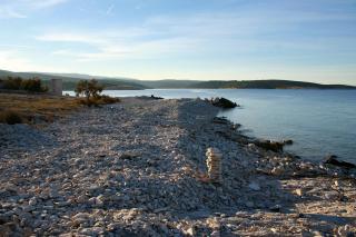 Apartments by the sea Povlja, Brac - 21810 - 5
