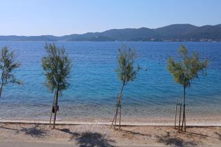 Apartments by the sea Viganj - Podac, Peljesac - 24663 - Orebić (Sabbioncello) - 8