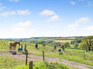 4 Bed in Kidwelly CWRTY - Kidwelly - 1