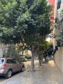 Apartment in Mexico City - Città del Messico - 2