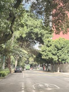 Apartment in Mexico City - 3