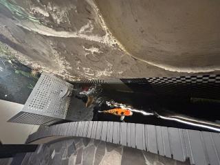 メルシアターリゾート3 - 1