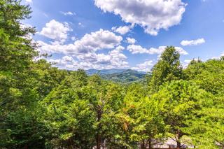 Bear Necessity Cabin - Pigeon Forge - 5