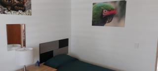 Linda casa confortable - Aguascalientes - 4