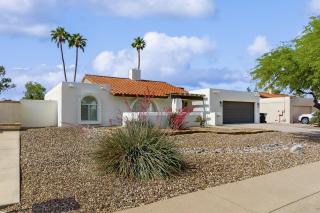 The Sunny Saguaro - Phoenix - 8