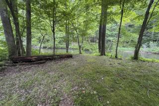 Stargazing Daydreamer - 8