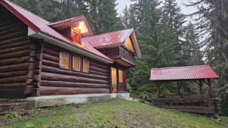 Forest Peace - Plav - 3