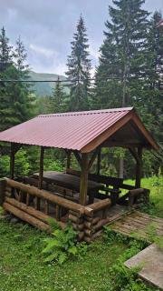 Forest Peace - Plav - 2