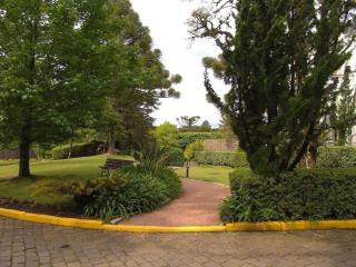 Charmoso Studio 2019 Bosque-Laje de Pedra - 4