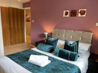 Cozy Nights - Cambuslang 1/64 - Glasgow - 2