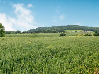 Violet Cottage - Credenhill - 4