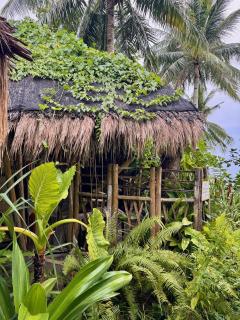 ShakaBrah Beachfront Hostel - 1