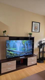 One Oasis Cebu Resort Condominium- A Studio Unit - 8