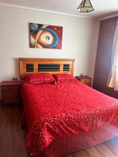 Hotel Plaza Los Leones - Curanilahue - 9