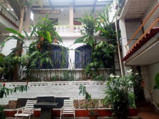 Lluvia de oro - Coroico - 2