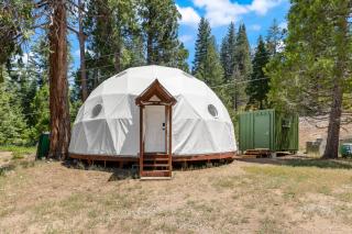 Dome Sweet Dome | Shaver Lake - 6