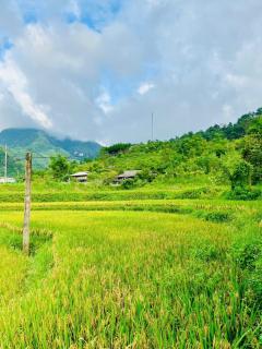 Bungalow vân chung - Yên Minh - 9