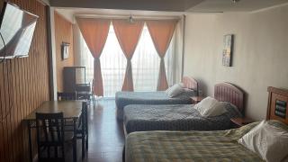 Hotel Plaza Los Leones - Curanilahue - 9