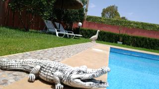 Villa Dayet Roumi House - - 6