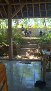 Melody Surf - Ekas Lombok - Ekas - 5