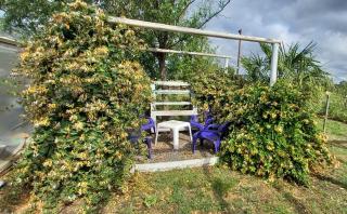 El universo de Sol - 5