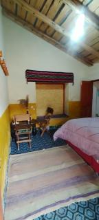 Cusco HOMESTAY KINSACOCHA - Calca - 2