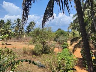 Camrose Guest House - Candolim - 2