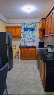 Cozy Apartments And Car Rentals - Canefield Airport - 9