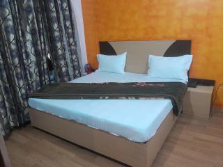 Shree shree guest house - Katra - 3