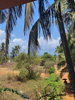 Camrose Guest House - Candolim - 4