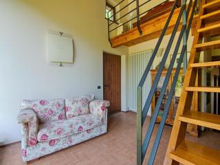 Villa in Borgo Pace with Private Pool - Borgo Pace - 1