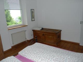 Das Alte Forsthaus - Geisenheim - 1