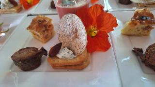 l'écureuil roux - 2