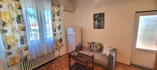 Timbi Apartment, FREE parking, garden, barbecue, pavilion, CHARGING station - Timişoara - 7