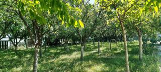 Timbi Apartment, FREE parking, garden, barbecue, pavilion, CHARGING station - Timişoara - 4