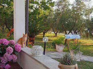 Agriturismo Santa Maria - Marta - 9