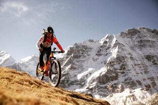 ABCD Lodge - - 0