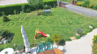 l'écureuil roux - 5