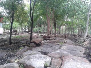 Raisubsomboon Resort - Ban Don Wan - 5