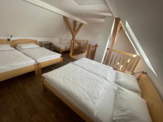 Apartmány Na handě - Boží Dar - 8