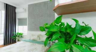 Nha Trong Pho - Green House - 1