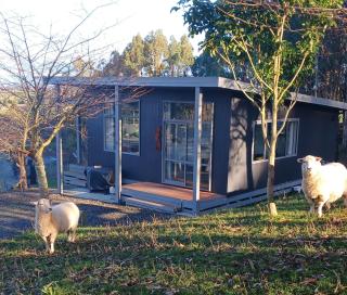 Little Forest Cabins No 3 - Feilding - 0