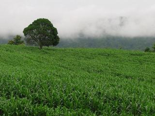 Casa Pendio Hotel - 3